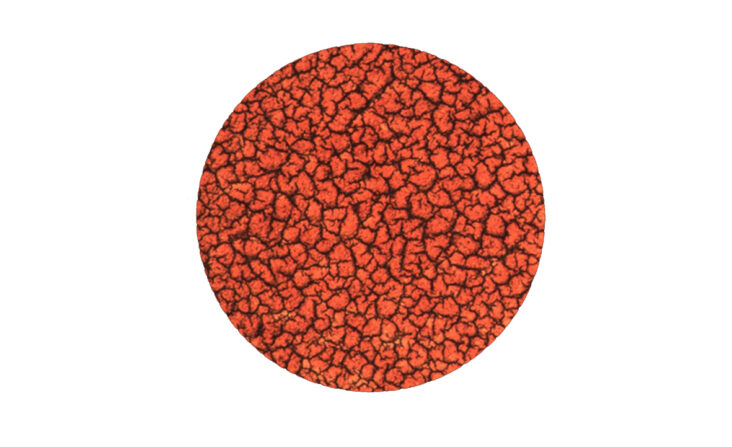 Test Hematográfico